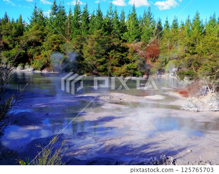 蒂普亞泥漿,羅托魯瓦,紐西蘭 蒂普亞泥漿,羅托魯瓦,紐西蘭 125765703