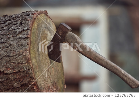 Axe in a log after throwing, logging 125765763