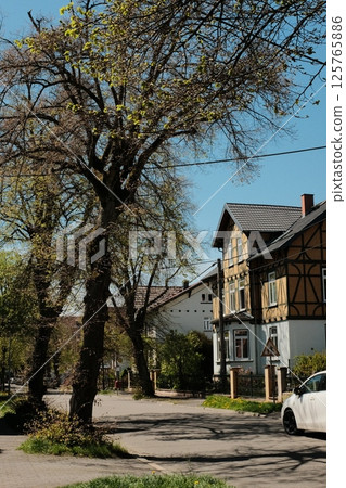 charming european small town street with traditional houses trees and blue sky in springtime village atmosphere. High quality photo charming european small town street with traditional houses trees and blue sky in springtime village atmosphere. High quality photo 125765886