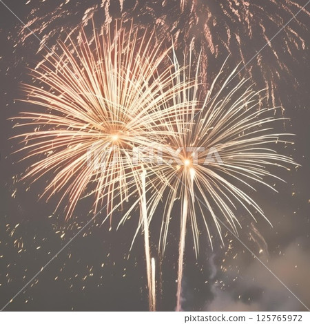 在夏天夜空的煙花 125765972