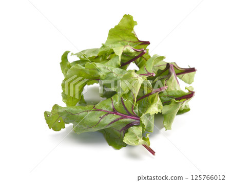 Beet root leaves isolated on white background. 125766012