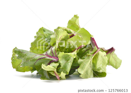 Beet root leaves isolated on white background. 125766013