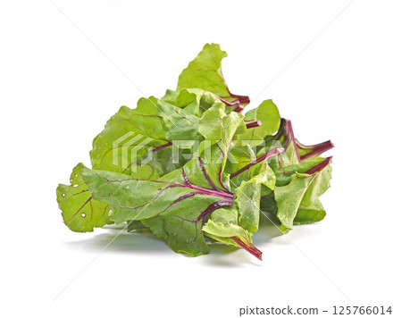 Beet root leaves isolated on white background. 125766014