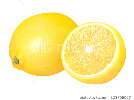 新鮮檸檬手繪插畫_水彩_整個和切片檸檬_柑橘類水果 125766037