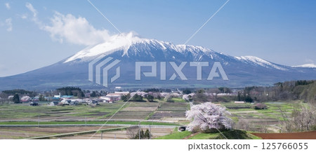 [岩手縣]玉內一株櫻花與岩手山的景色 125766055