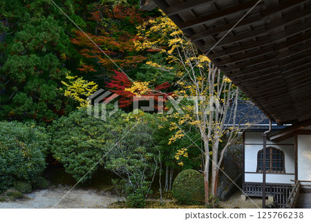 Koyasan: Autumn at Kongobu-ji Temple 125766238