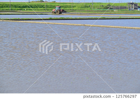 Early rice planting, plowing, cultivator, Nishiyuuma farmland, rural scenery, Saitama city 125766297