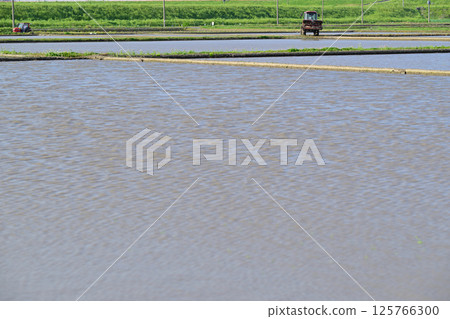 早稻插秧、耕耘、耕耘機、西湯馬農田、田園風光、埼玉市 早稻插秧、耕耘、耕耘機、西湯馬農田、田園風光、埼玉市 125766300