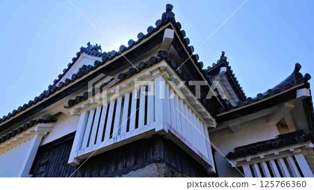Binaka Matsuyama Castle Tenshi Binaka Matsuyama Castle Tenshi 125766360