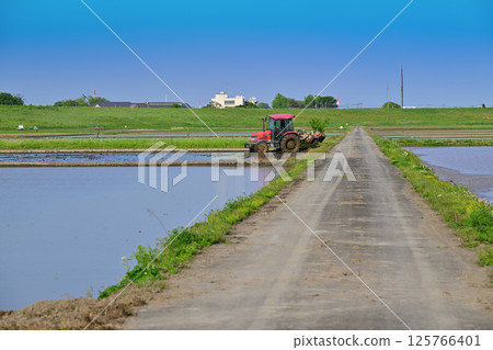 Early rice planting, plowing, cultivator, Nishiyuuma farmland, rural scenery, Saitama city 125766401