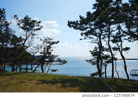 Japan Saga Hatomasaki Rainbow Pine Grove Japan Saga Hatomasaki Rainbow Pine Grove 125766674
