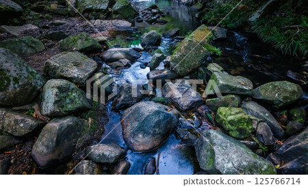 Serene Forest Stream Flowing Over Rocks Amidst Lush Greenery 125766714