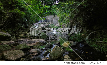 Serene Waterfall Flowing Over Rocks in a Lush Green Forest Scene 125766715