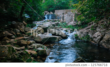 Serene Waterfall Flowing Over Rocks in a Lush Green Forest Scene 125766718