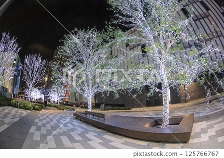 May 2 2025 Modern Cityscape at Night with Illuminated Trees and Contemporary 125766767