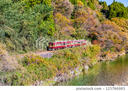 Watarase Keikoku Railway: A train running through autumn leaves (Konaka-Kobe) 125766983
