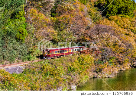 Watarase Keikoku Railway: A train running through autumn leaves (Konaka-Kobe) 125766986