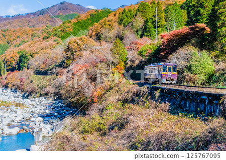 渡良瀨溪谷鐵道:行駛在紅葉間的列車(澤入附近) 渡良瀨溪谷鐵道:行駛在紅葉間的列車(澤入附近) 125767095