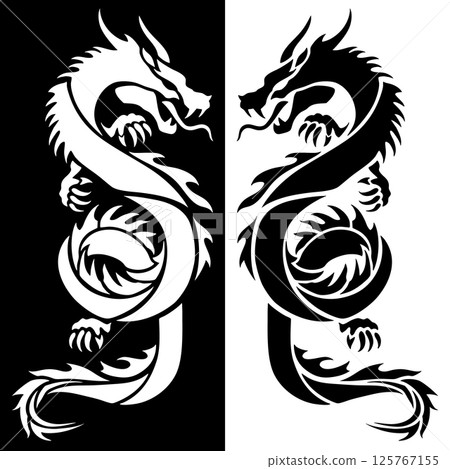 Silhouette of two dragons facing each other, black and white background 125767155