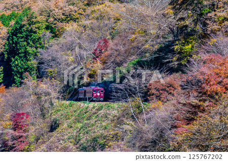 Watarase Valley Railway: A train running through the Watarase Valley with autumn leaves (near Sawaniri) Watarase Valley Railway: A train running through the Watarase Valley with autumn leaves (near Sawaniri) 125767202