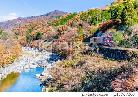 Watarase Valley Railway: A train running through the Watarase Valley with autumn leaves (near Sawaniri) 125767206