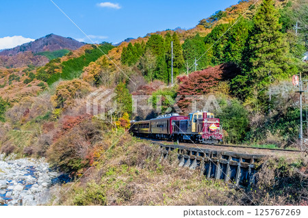 Watarase Valley Railway - The Watarase Valley Trolley Train running through the autumn leaves of the Watarase Valley (near Sawaniri) 125767269