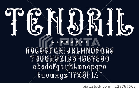 Victorian font, antique medieval typeface, vintage script type, elegant alphabet with gothic flourishes vector typography set. Vintage medieval victorian classic serif font english alphabet with curls 125767563