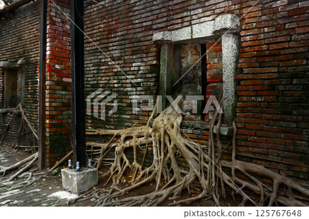 摯愛台灣（一棵樹，多年來吞噬了倉庫的牆壁。吞噬了整個歷史。台南市安平樹屋） 125767648