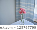 Flowers in a vase: Carnations 125767799