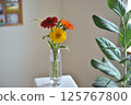 Vase flower gerbera 125767800