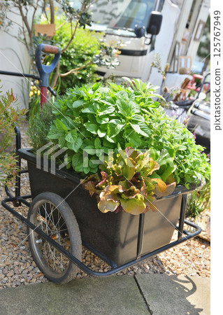 附植物的花車 125767949