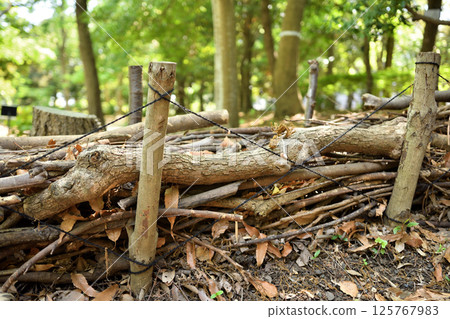 鄉村樹籬（正面圖） 125767983