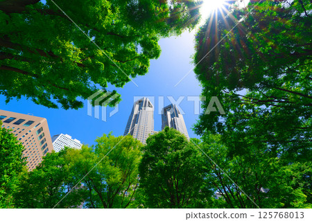 [Tokyo] Sightseeing around Shinjuku Station under the clear skies during Golden Week in May 125768013