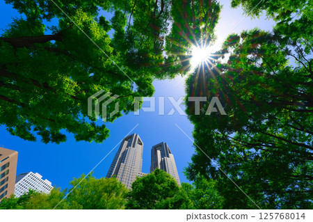 [Tokyo] Sightseeing around Shinjuku Station under the clear skies during Golden Week in May 125768014