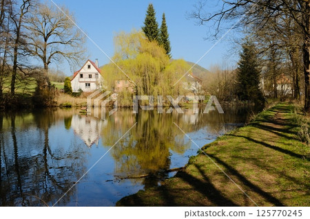 village houses with colorful trees reflecting in calm lake in springtime under blue sky in rural european setting. High quality photo 125770245