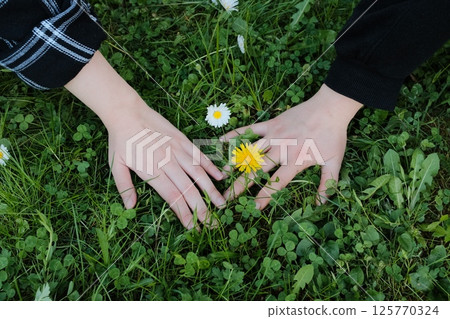 close up of hands touching wildflowers and grass on green lawn during springtime afternoon. High quality photo close up of hands touching wildflowers and grass on green lawn during springtime afternoon. High quality photo 125770324