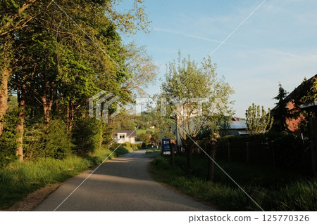 rural countryside road with houses green fields and trees under blue sky in peaceful village landscape at golden hour. High quality photo 125770326