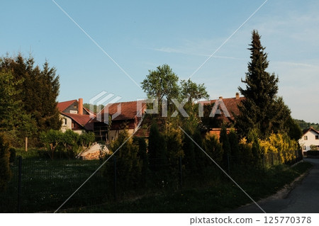 rural countryside road with houses green fields and trees under blue sky in peaceful village landscape at golden hour. High quality photo 125770378