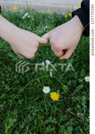 close up of hands touching wildflowers and grass on green lawn during springtime afternoon. High quality photo close up of hands touching wildflowers and grass on green lawn during springtime afternoon. High quality photo 125770380