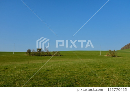 wide open green countryside field under clear blue sky with distant trees and rolling hills in peaceful rural landscape. High quality photo wide open green countryside field under clear blue sky with distant trees and rolling hills in peaceful rural landscape. High quality photo 125770435
