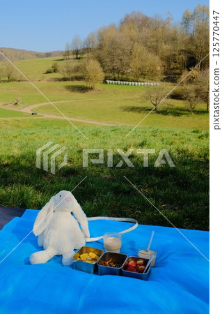 white plush rabbit toy sitting on blue picnic mat with lunchbox bento meal in grassy countryside during spring day. High quality photo 125770447