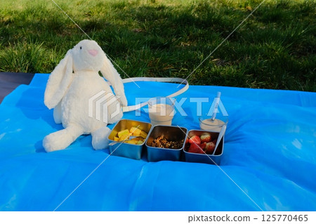 white plush rabbit toy sitting on blue picnic mat with lunchbox bento meal in grassy countryside during spring day. High quality photo 125770465