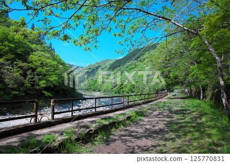 Mukogawa Abandoned Railway Tracks 125770831
