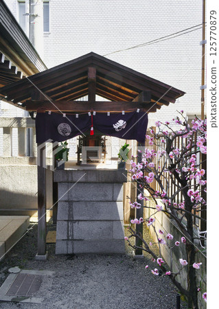 善國寺出世稻荷（東京都新宿區神樂坂） 125770879