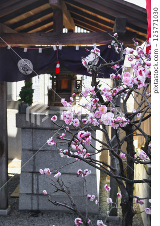Zenkokuji Temple Shusse Inari (Kagurazaka, Shinjuku, Tokyo) Zenkokuji Temple Shusse Inari (Kagurazaka, Shinjuku, Tokyo) 125771030