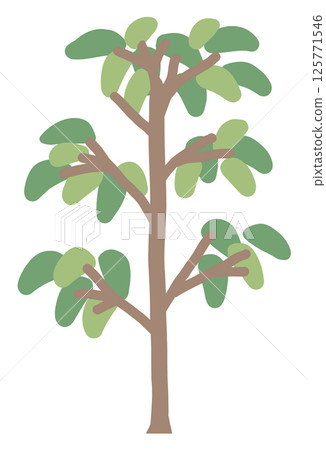 種植插圖 125771546