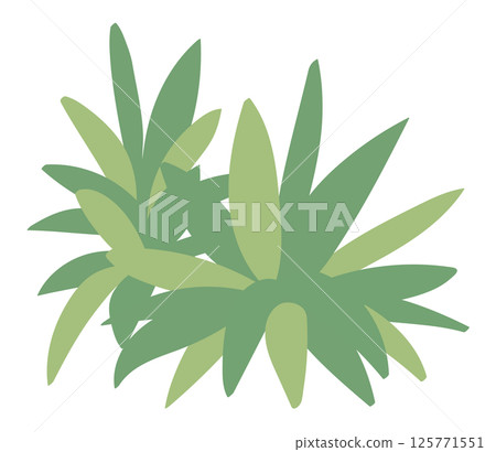 種植插圖 種植插圖 125771551