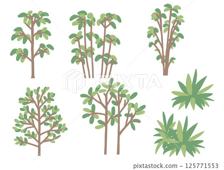 種植插圖集 125771553