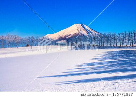 A composite of snowy Hokkaido scenery in the harsh winter and Mt. Fuji 125771857
