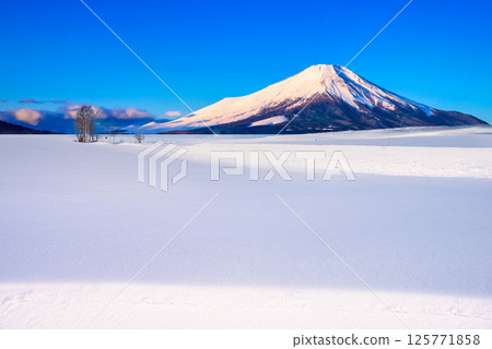 A composite of snowy Hokkaido scenery in the harsh winter and Mt. Fuji 125771858